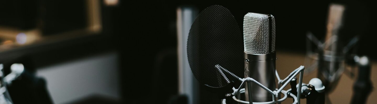 macro photography of silver and black studio microphone condenser