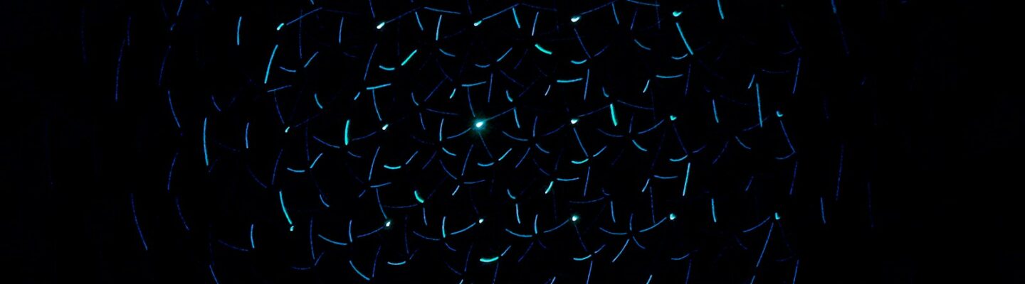 light decorations in dark area