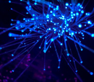 purple and blue light digital wallpaper