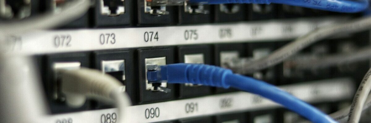 blue UTP cord